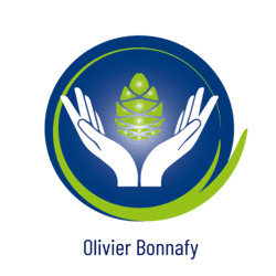 olivier bonnafy